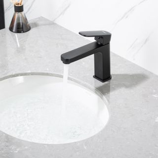 Смеситель для раковины Frap F1089-6 черный